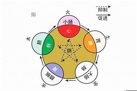 修 五行|修字的五行属性